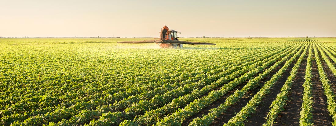 MPL Segmento - Agronegócio